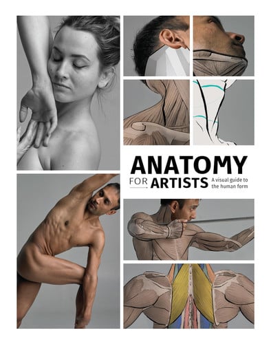 Anatomy for Artists : A visual guide to the human form