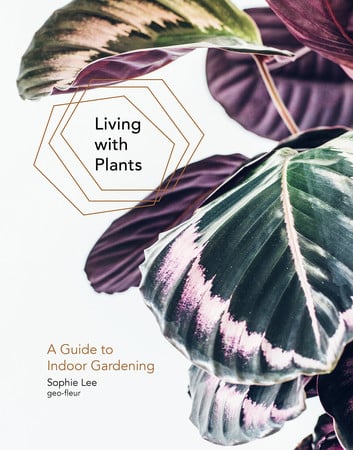Living With Plants : A Guide To Indoor Gardening