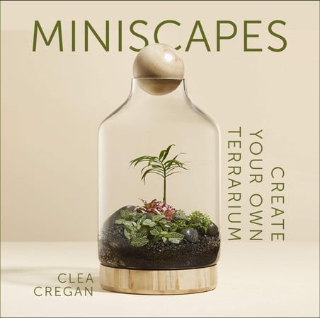 Mini Scapes: Create Your Own Terrarium