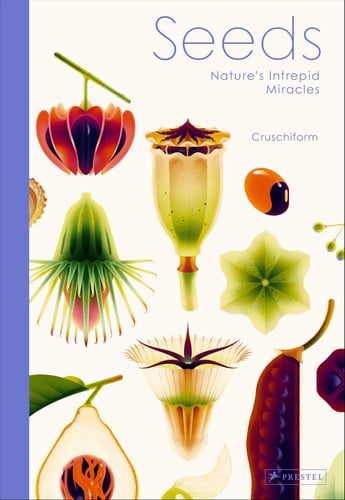 Seeds Nature’s Intrepid Miracles