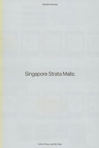 Singapore Strata Malls: A Retrospective For The Future