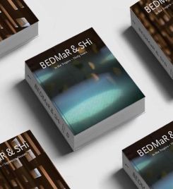 BEDMaR & SHi: IN THE TROPICS
