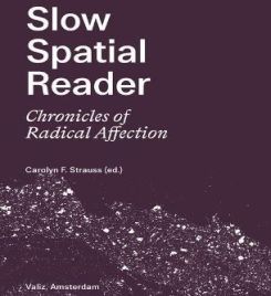 Slow Spatial Reader - Chronicles Of Radical Affection