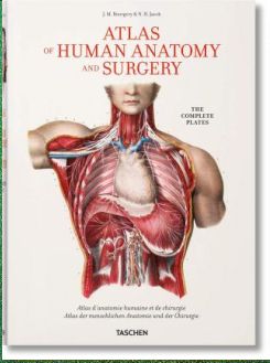 Bourgery: Atlas Of Human Anatomy And Surgery